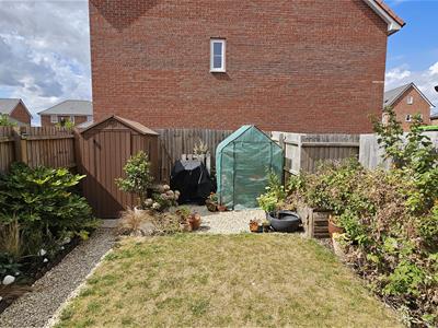 Picture 30